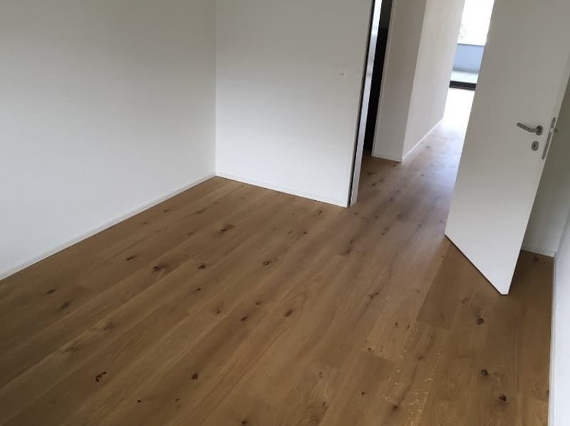 Bright and quiet 3.5-room apartment with huge balcony (8)