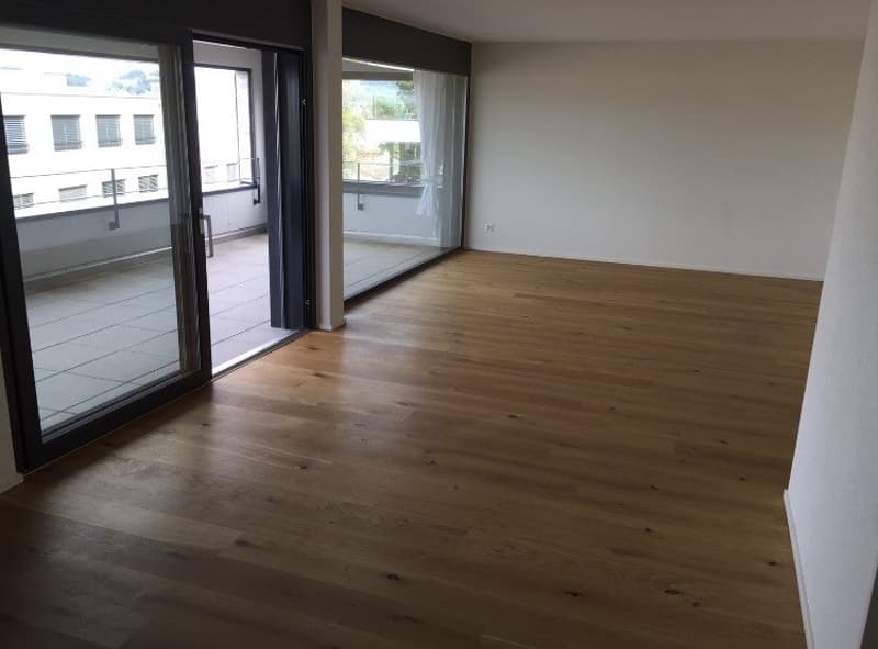 Bright and quiet 3.5-room apartment with huge balcony (7)