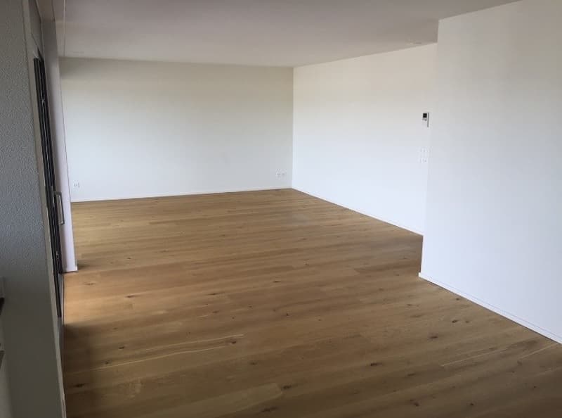 Bright and quiet 3.5-room apartment with huge balcony (5)