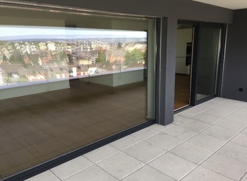 Bright and quiet 3.5-room apartment with huge balcony (10)