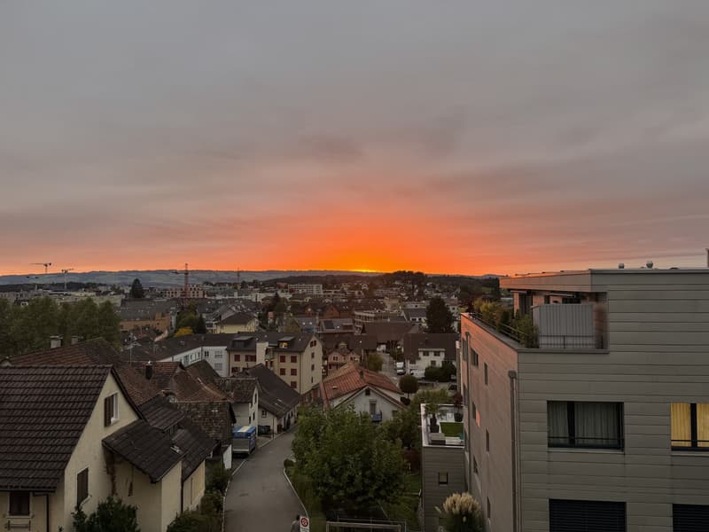 Bright and quiet 3.5-room apartment with huge balcony (3)