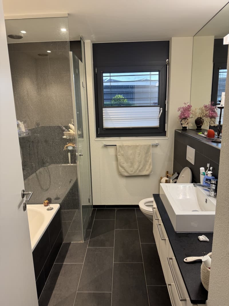 Bright and quiet 3.5-room apartment with huge balcony (13)
