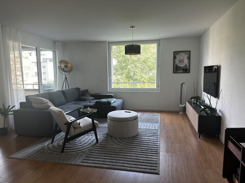 Appartement (1)