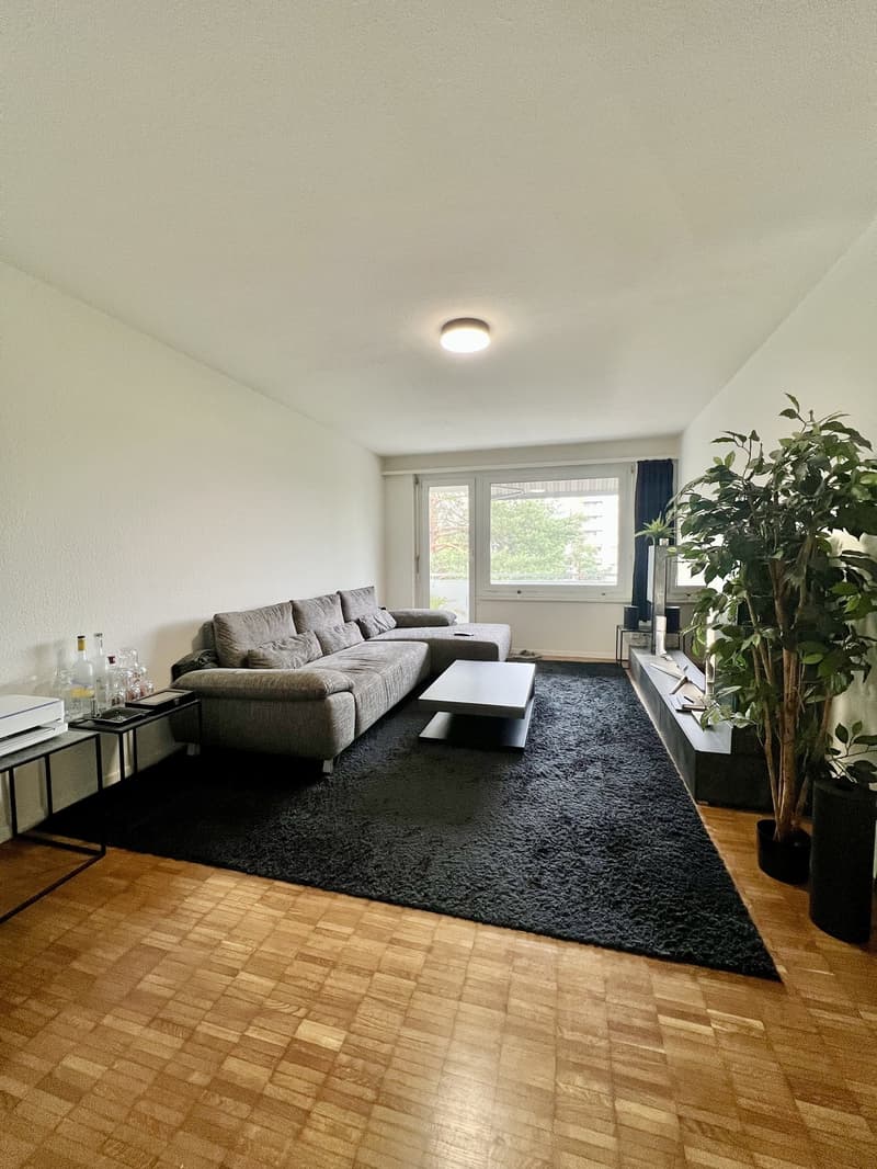Voll möblierte 2.5-Zimmer-Wohnung in Zürich (2)