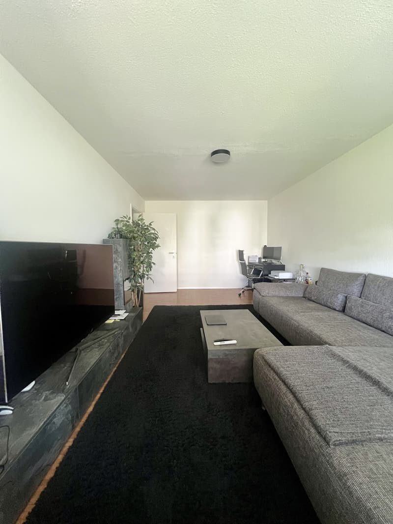 Voll möblierte 2.5-Zimmer-Wohnung in Zürich (3)