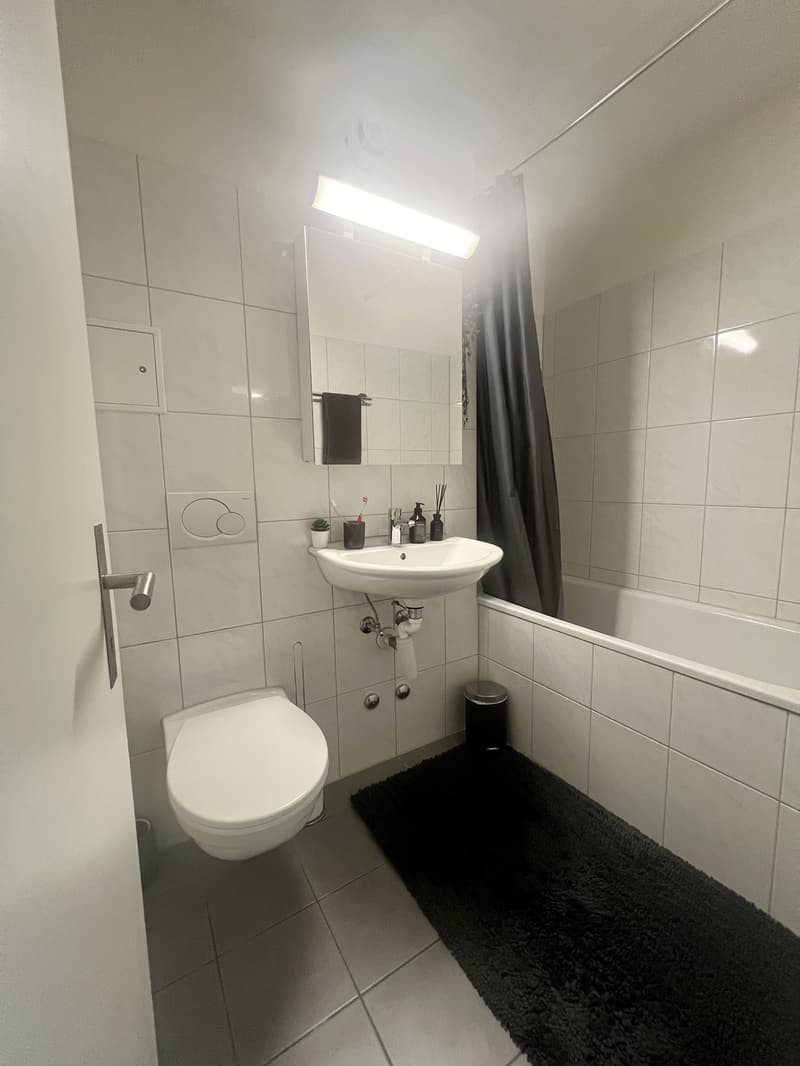 Voll möblierte 2.5-Zimmer-Wohnung in Zürich (6)