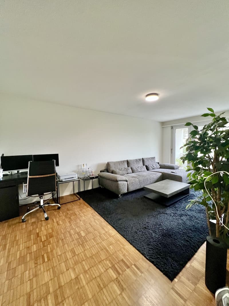 Voll möblierte 2.5-Zimmer-Wohnung in Zürich (1)