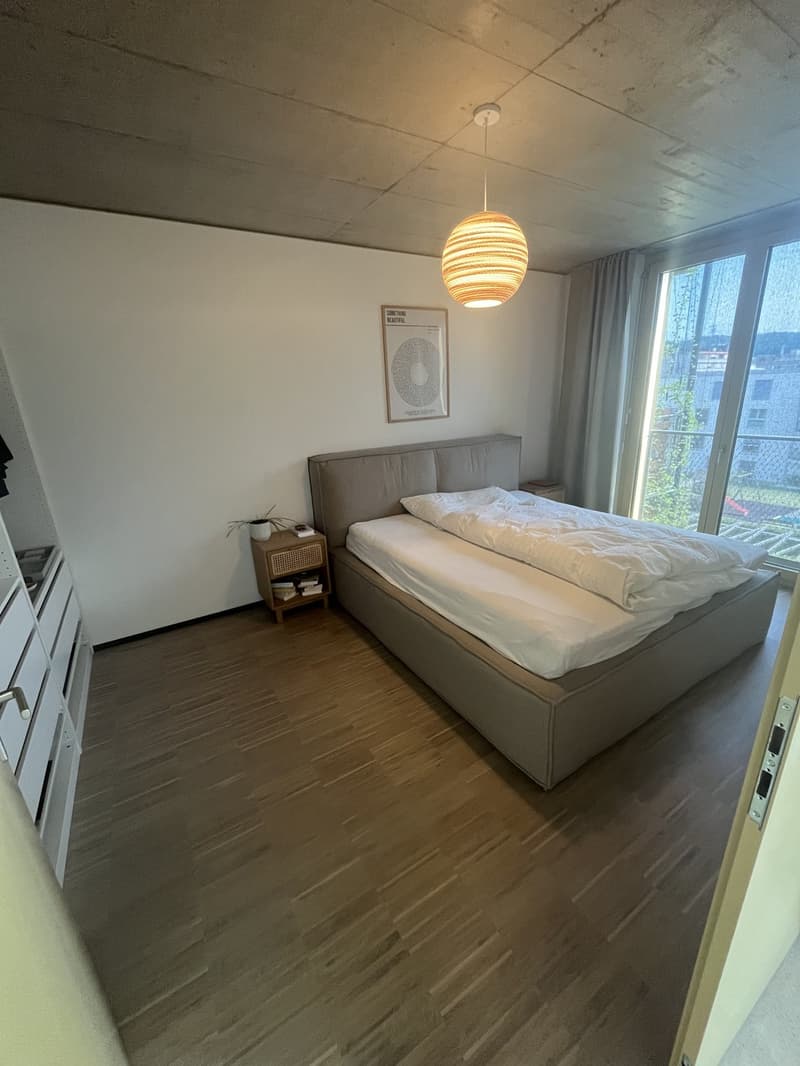 Furnished 3.5 room apartment (3)