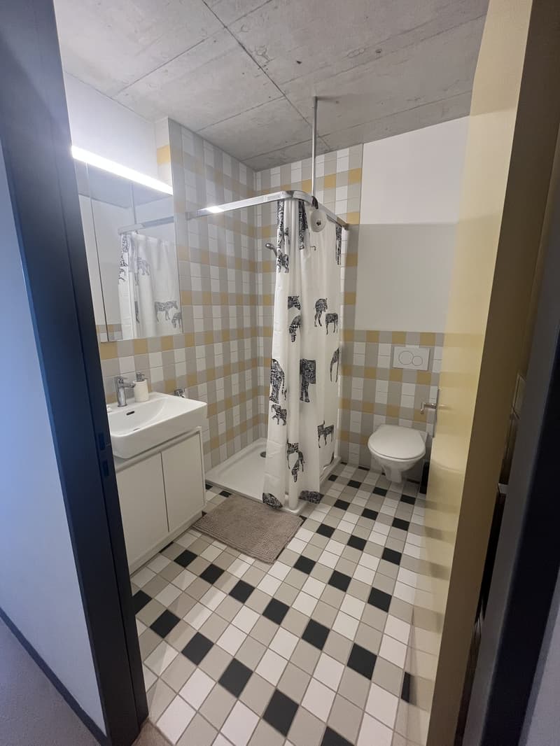 Furnished 3.5 room apartment (5)