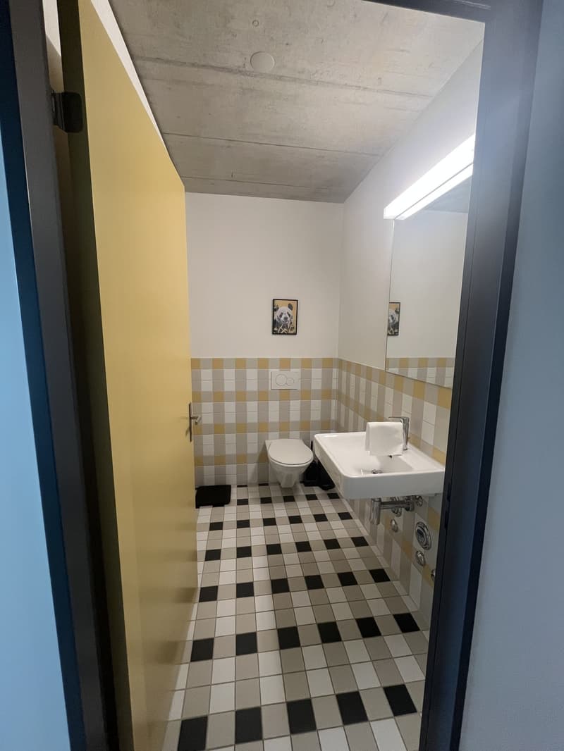 Furnished 3.5 room apartment (6)