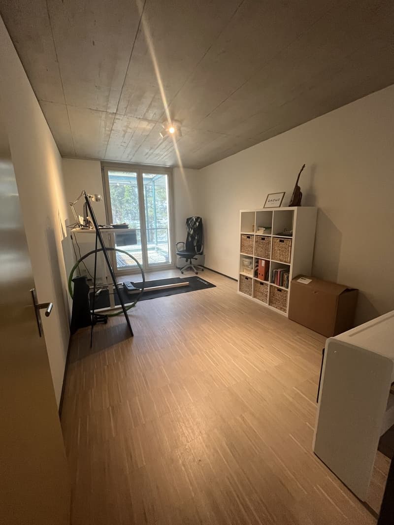 Furnished 3.5 room apartment (4)