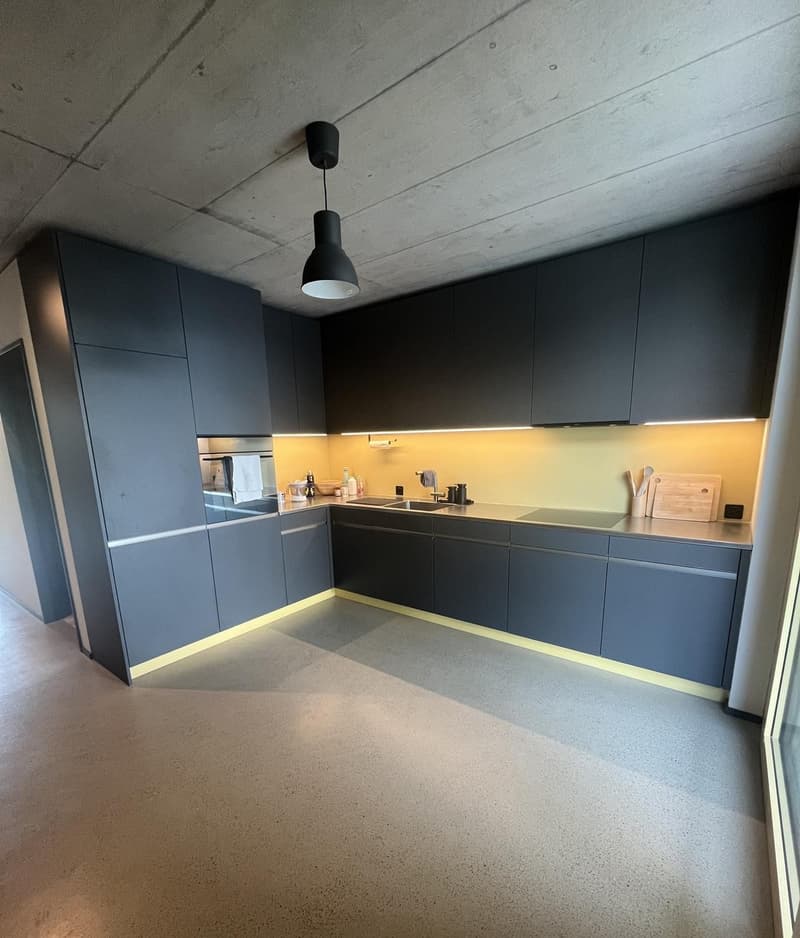 Furnished 3.5 room apartment (1)