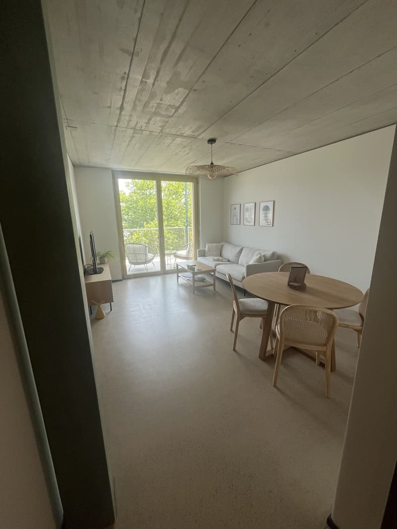 Furnished 3.5 room apartment (2)