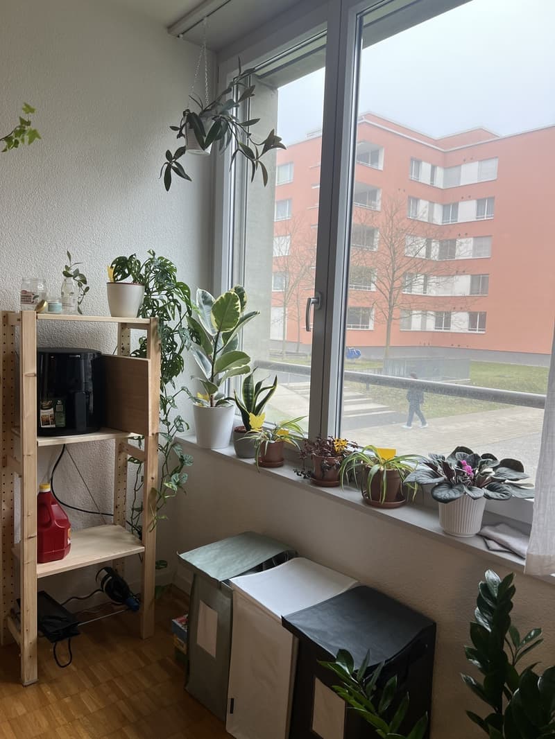 Kitchen view