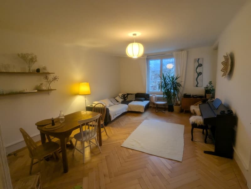 Grosse und helle Wohnung zur Zwischenmiete 10/26 - 02/27 (2)