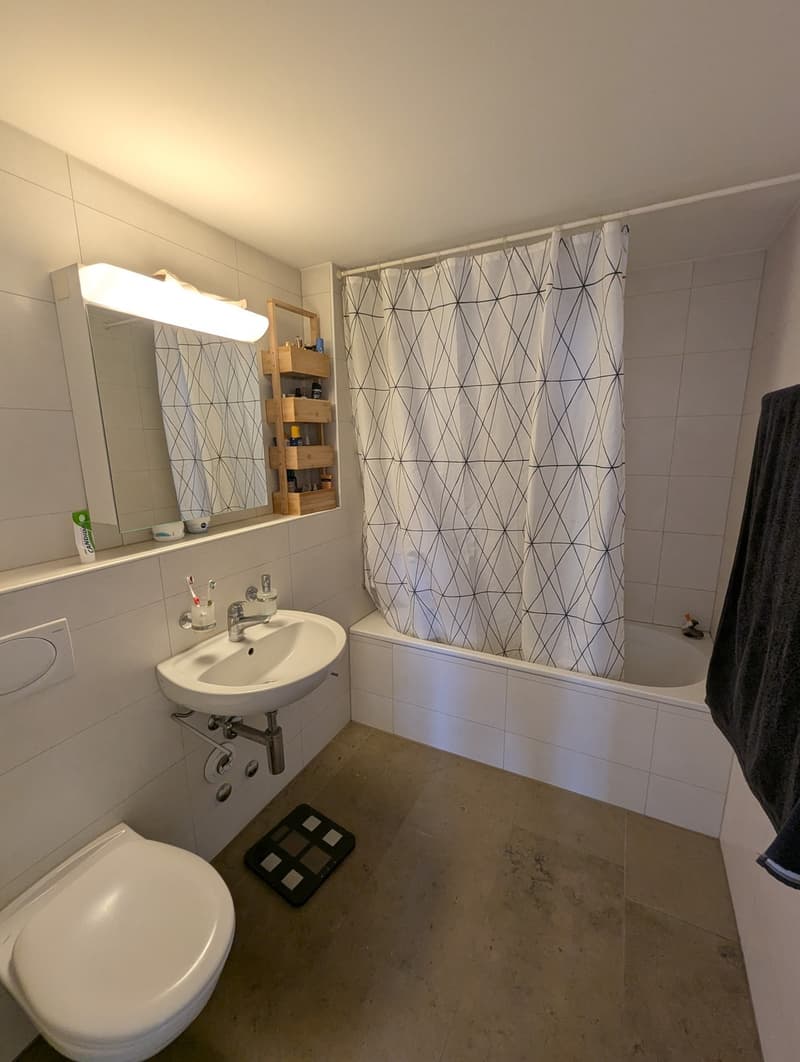 Zentrale, möblierte 2,5 Zimmer Wohnung in Wiedikon zur Untermiete (4)