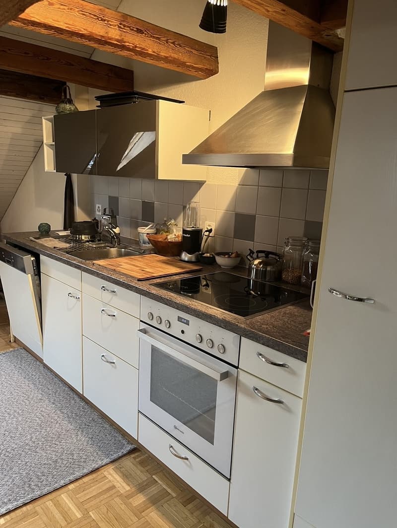 Superbe appartement en mansarde à louer dans le quartier 4 (6)