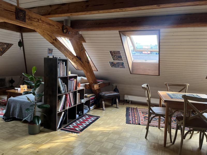 Superbe appartement en mansarde à louer dans le quartier 4 (5)