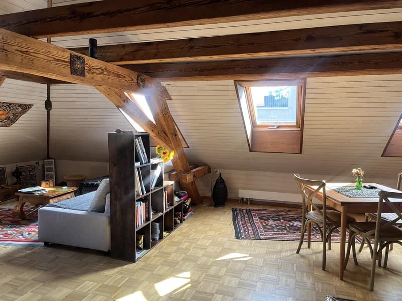 Superbe appartement en mansarde à louer dans le quartier 4 (1)