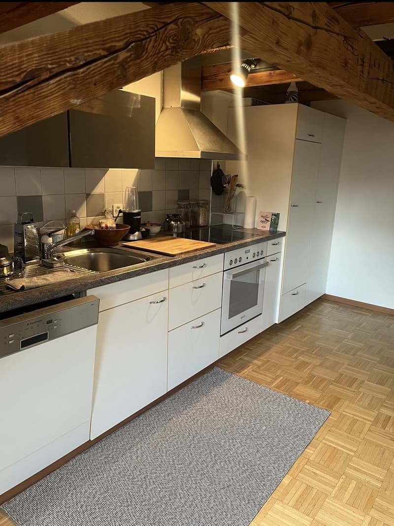 Superbe appartement en mansarde à louer dans le quartier 4 (7)