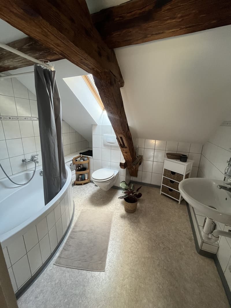 Superbe appartement en mansarde à louer dans le quartier 4 (9)
