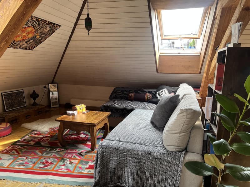 Superbe appartement en mansarde à louer dans le quartier 4 (3)