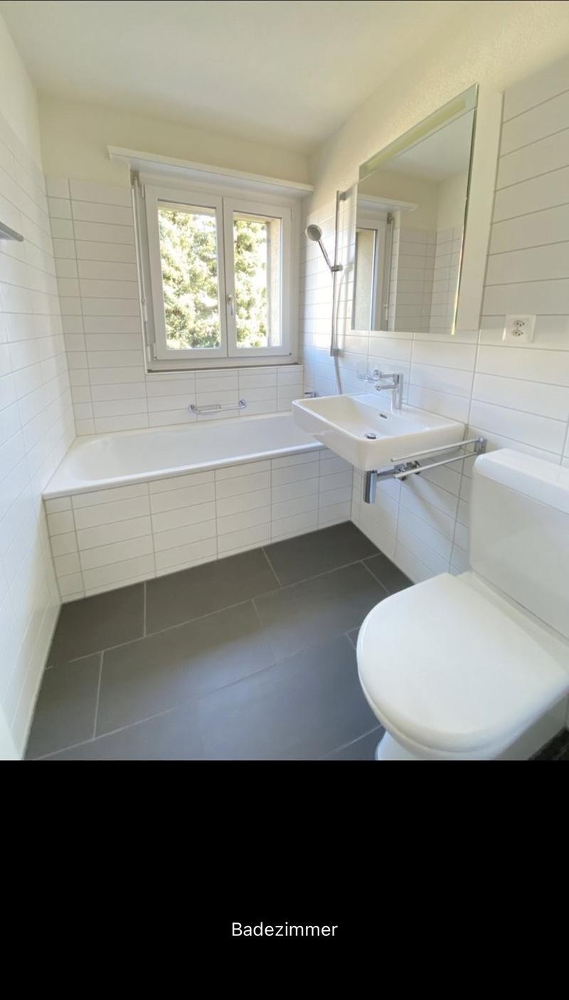 3 Zimmer-Wohnung, 8610 Uster (7)
