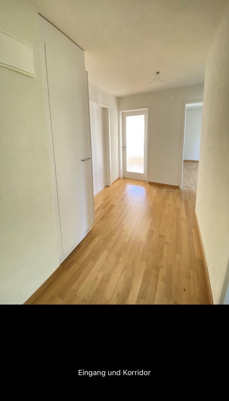 3 Zimmer-Wohnung, 8610 Uster (2)