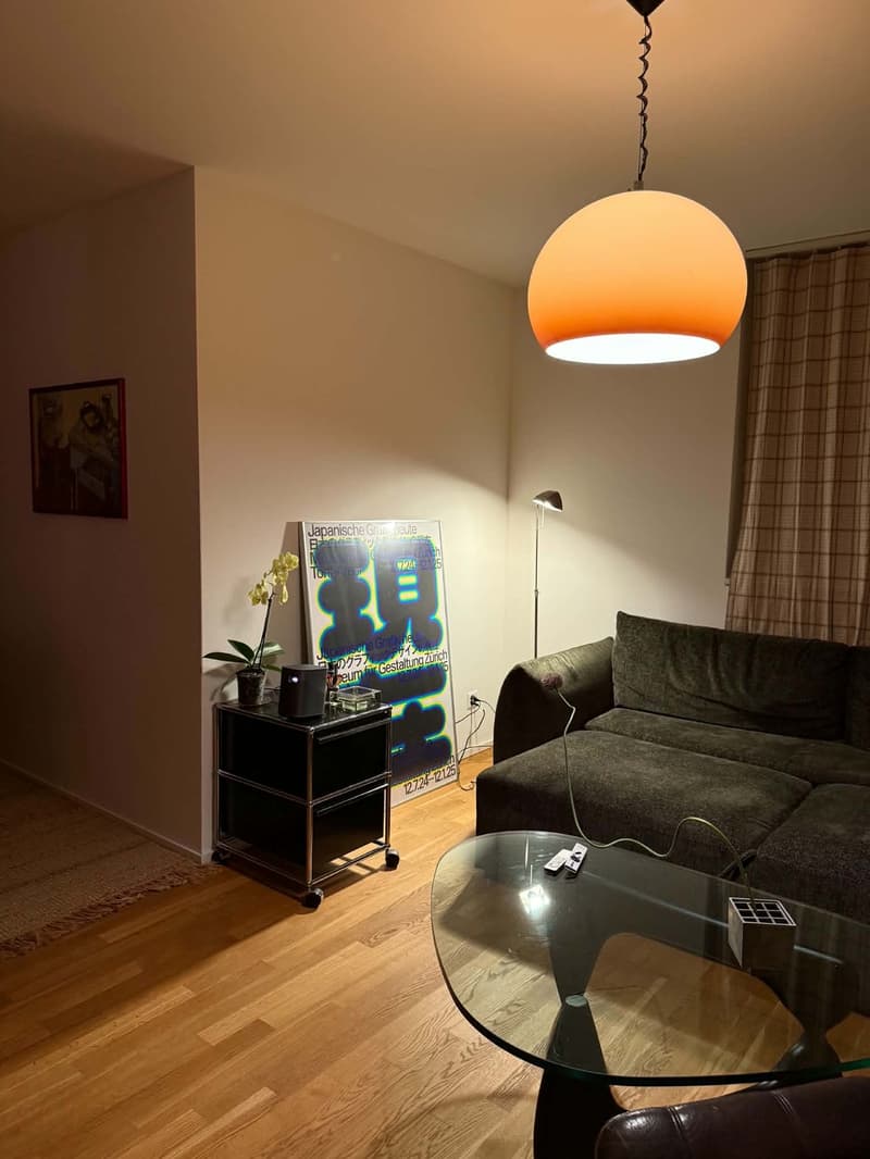 Helle & voll möblierte 2.5-Zimmer-Wohnung mit grosser Terrasse in Zürich-Affoltern - befristet (1)