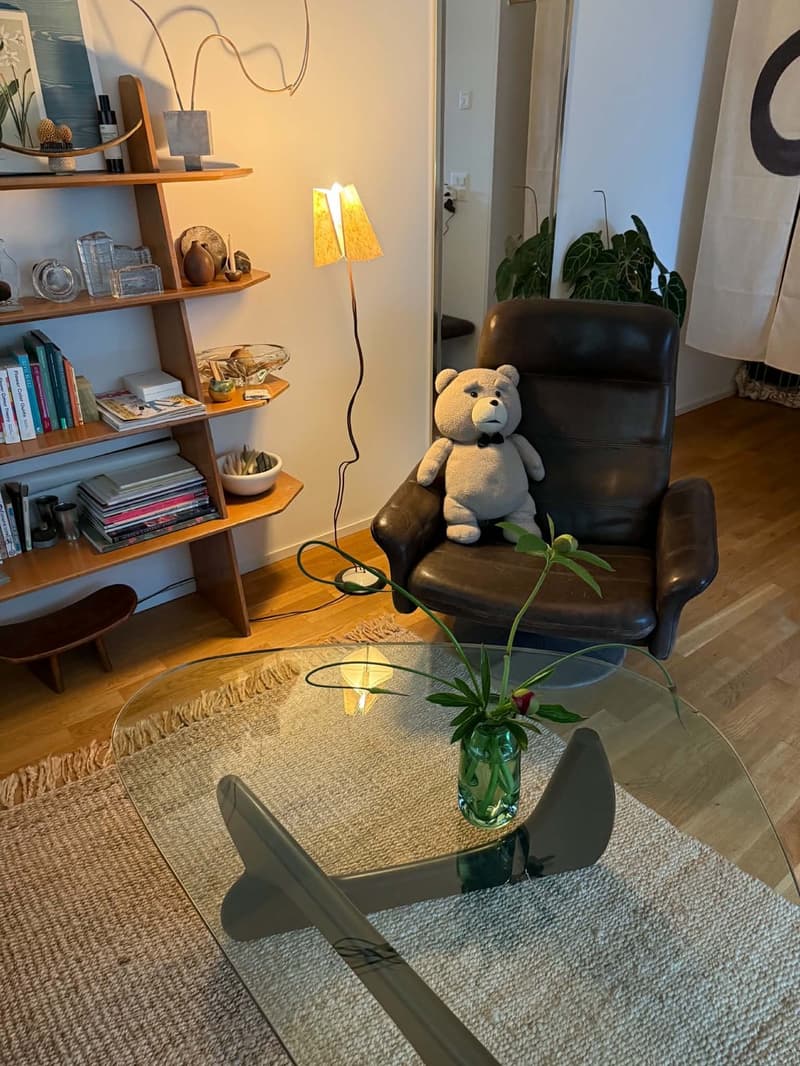 Helle & voll möblierte 2.5-Zimmer-Wohnung mit grosser Terrasse in Zürich-Affoltern - befristet (3)