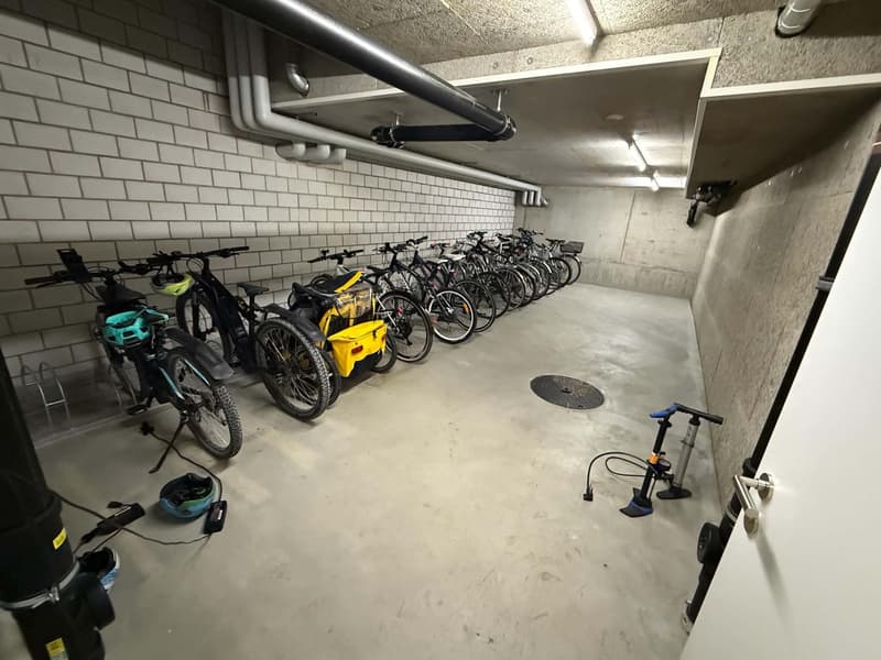 Helle & voll möblierte 2.5-Zimmer-Wohnung mit grosser Terrasse in Zürich-Affoltern - befristet (13)