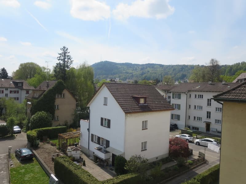 Appartement lumineux abordable à Altstetten (8)
