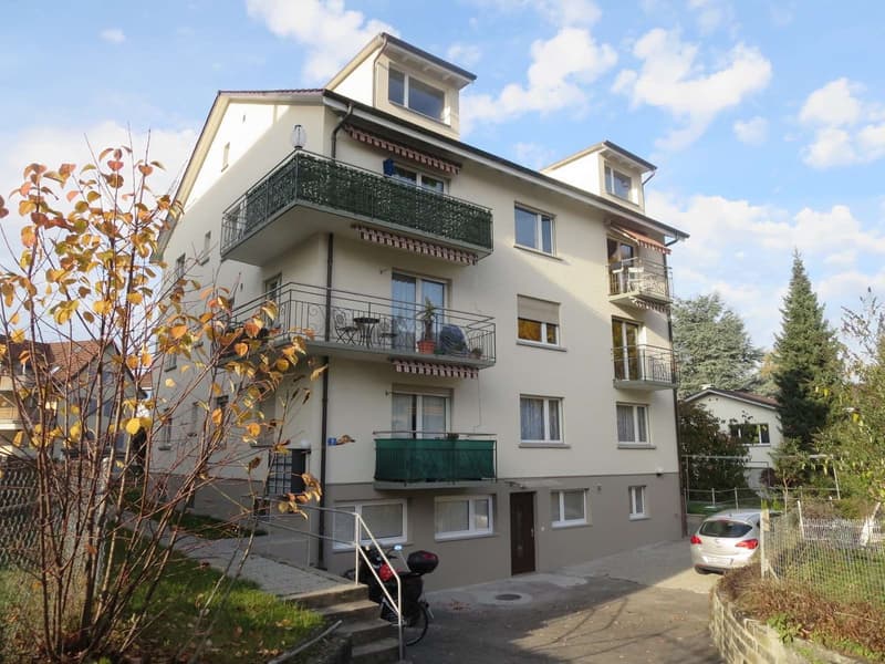 Appartement lumineux abordable à Altstetten (5)