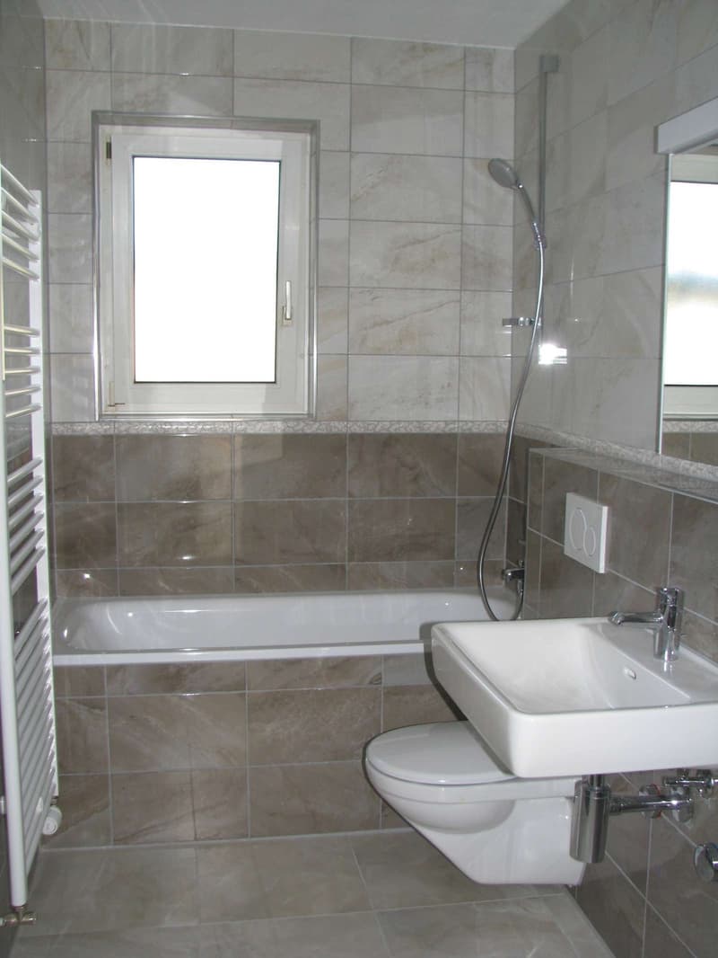 Appartement lumineux abordable à Altstetten (3)