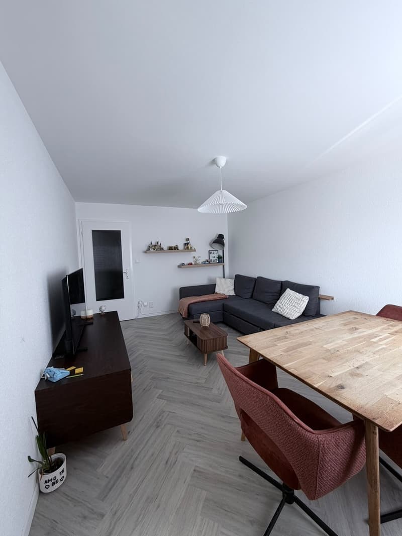 Helle 3.5-Zimmer-Wohnung in Uster Nachmieter gesucht ab 1. September (3)