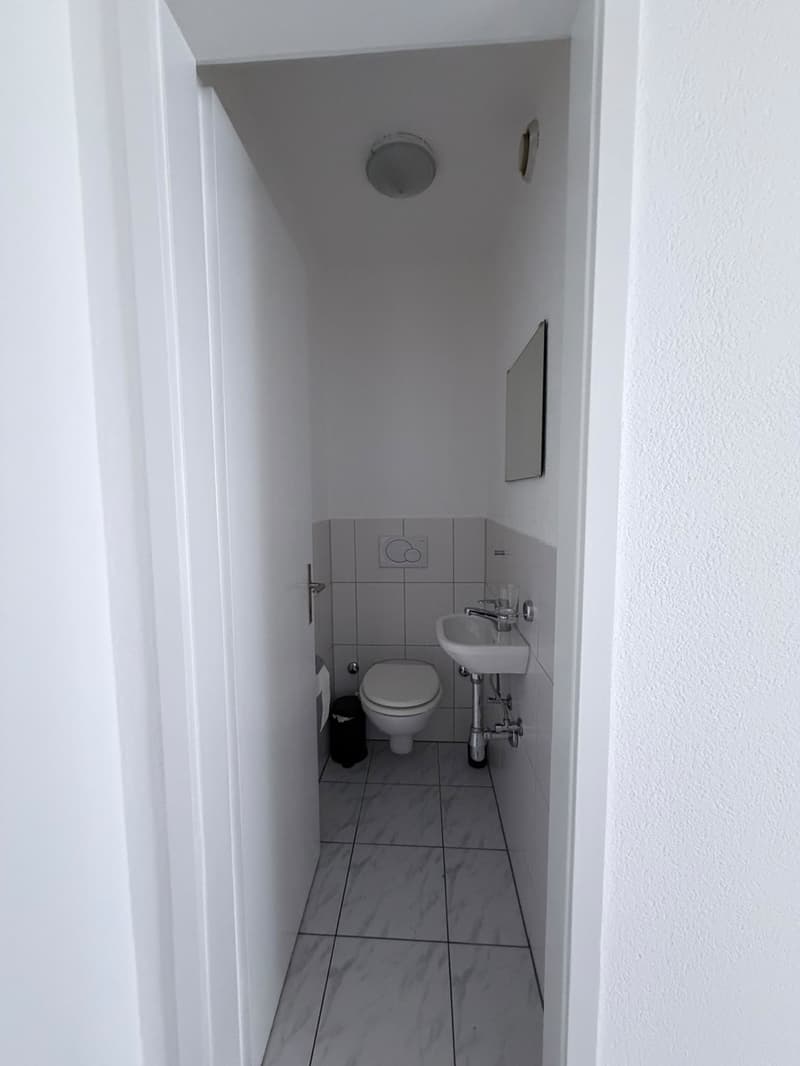 Helle 3.5-Zimmer-Wohnung in Uster Nachmieter gesucht ab 1. September (6)
