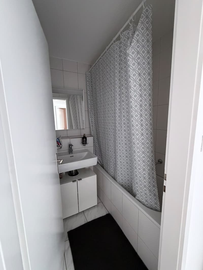 Helle 3.5-Zimmer-Wohnung in Uster Nachmieter gesucht ab 1. September (5)