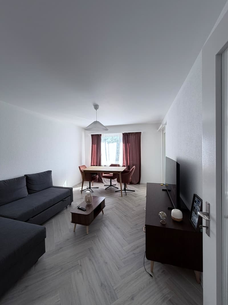 Helle 3.5-Zimmer-Wohnung in Uster Nachmieter gesucht ab 1. September (2)
