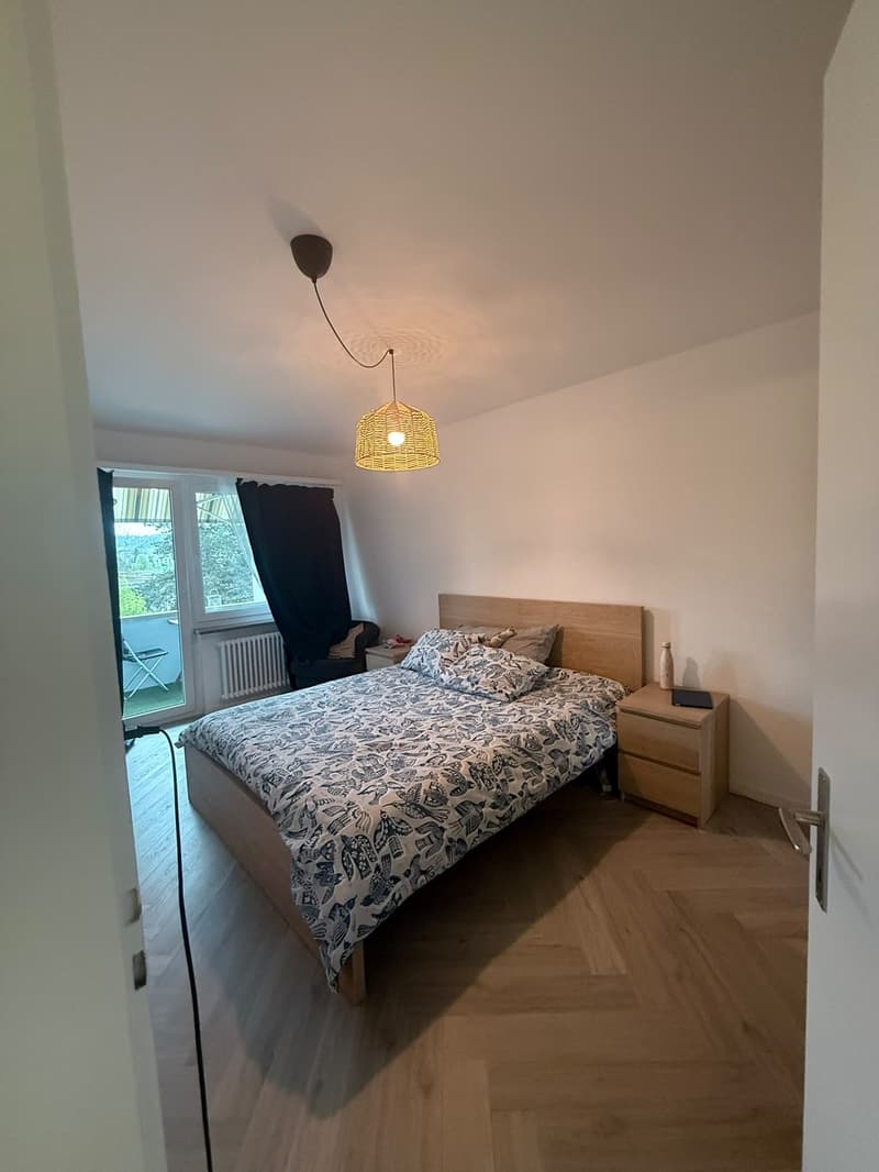 Helle 3.5-Zimmer-Wohnung in Uster Nachmieter gesucht ab 1. September (1)