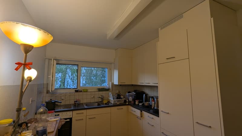 Schöne 3.5-Zimmerwohnung in Untersiggenthal in der nahe Baden (2)