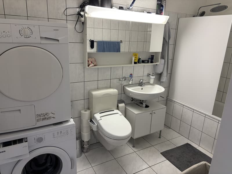 2,5 Zimmerwohnung (5)