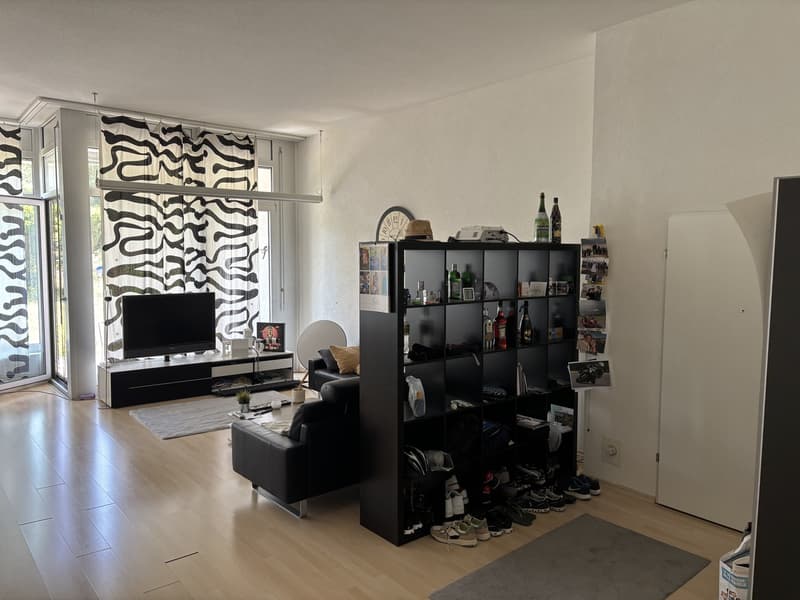 2,5 Zimmerwohnung (1)