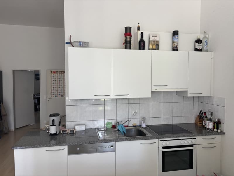 2,5 Zimmerwohnung (4)