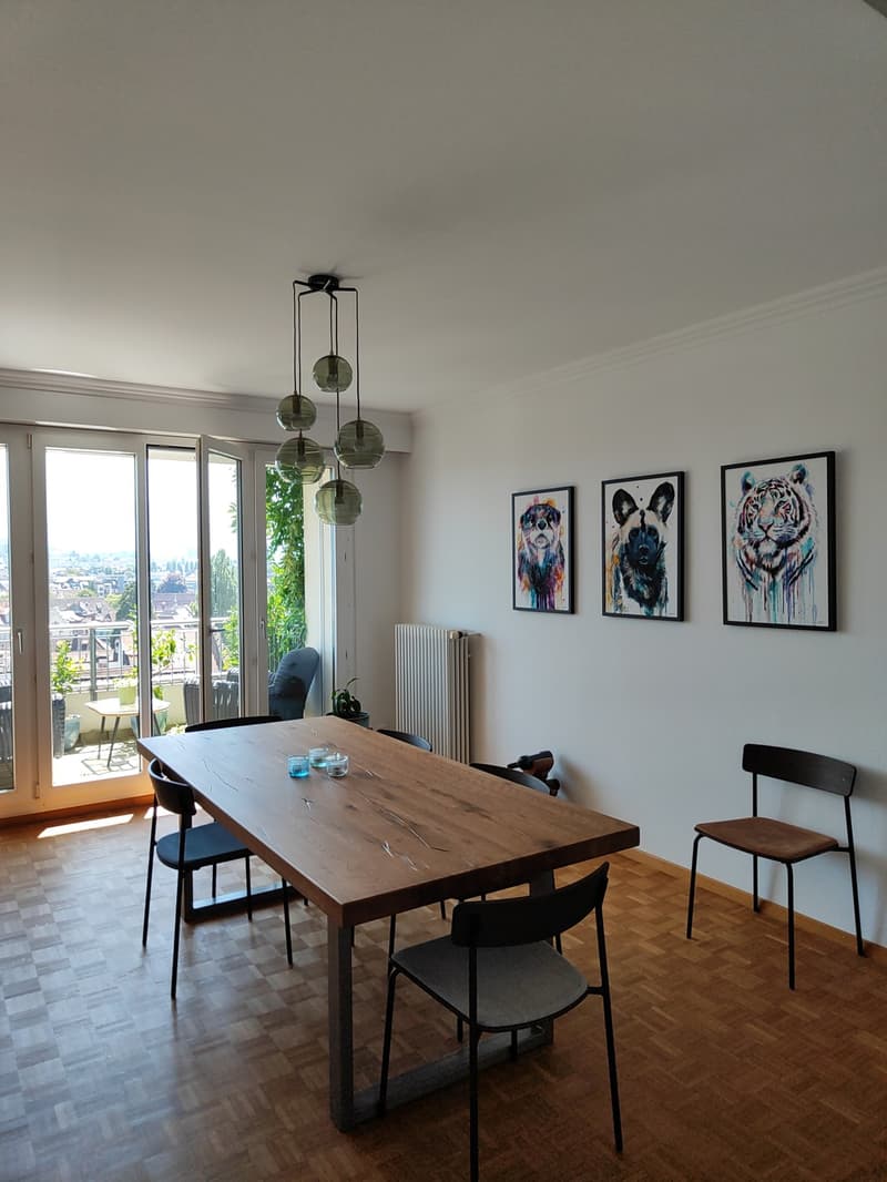 Helle 3.5-Zimmer-Wohnung mit Traumaussicht - Museggstrasse, Luzern (6)