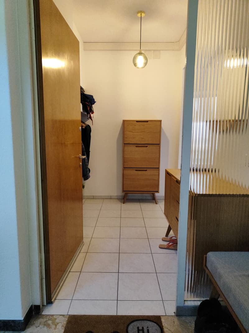 Helle 3.5-Zimmer-Wohnung mit Traumaussicht - Museggstrasse, Luzern (1)