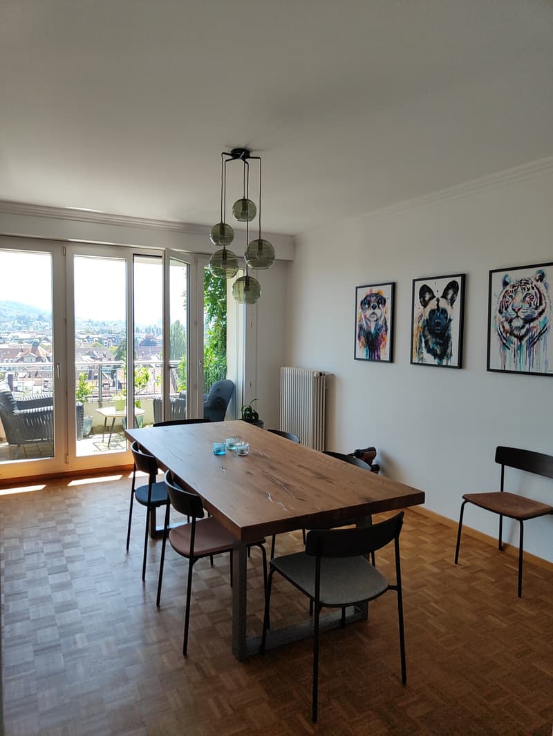 Helle 3.5-Zimmer-Wohnung mit Traumaussicht - Museggstrasse, Luzern (10)