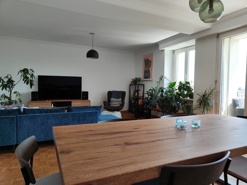 Helle 3.5-Zimmer-Wohnung mit Traumaussicht - Museggstrasse, Luzern (13)