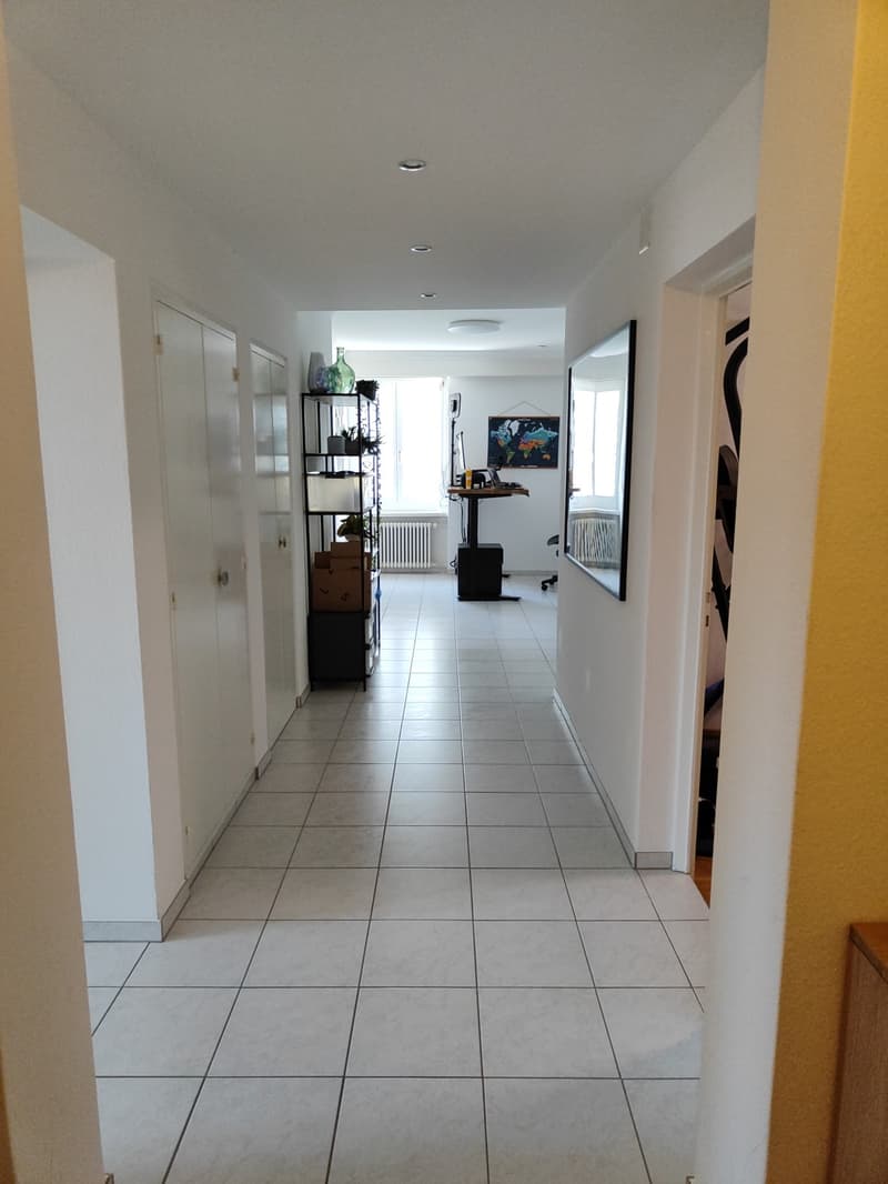 Helle 3.5-Zimmer-Wohnung mit Traumaussicht - Museggstrasse, Luzern (5)