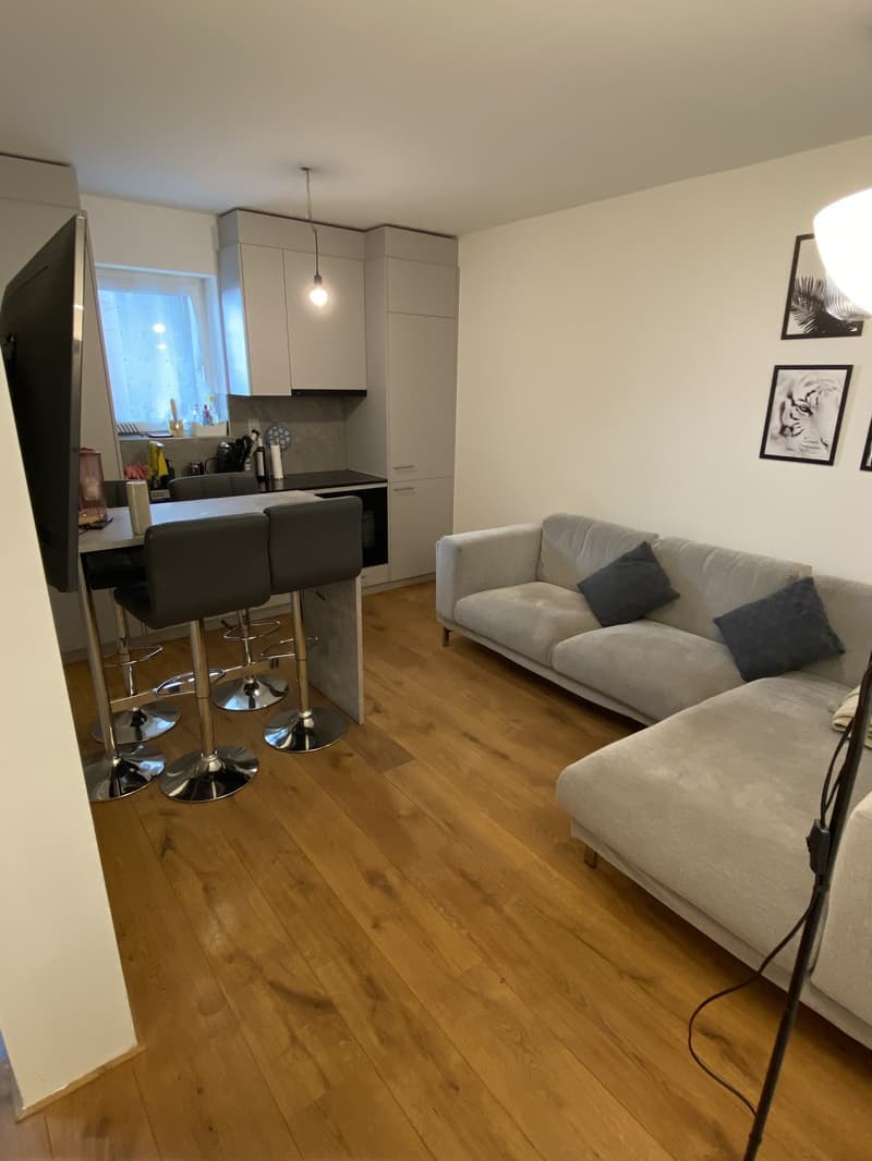 2 rooms apartment, Furnished (3)