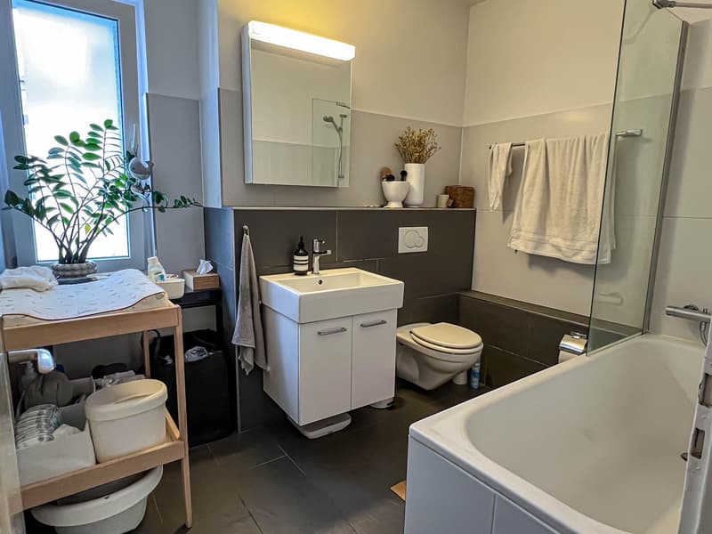Schönes 2-Zimmer-Apartment in Kreis 5 Kurzfristige Vermietung (3 Monate, Verlängerungsoption) (4)